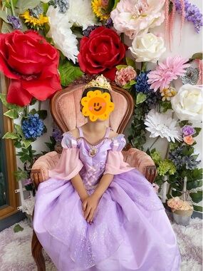 Disney Princess Lavender and Pink Sparkle Dress